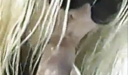 Mulher sohn sex tube de Amigo