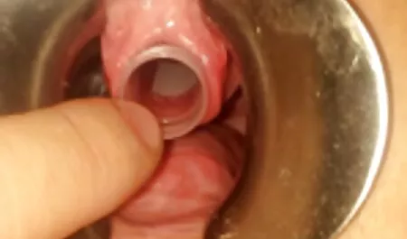 Ich will deinen tollen Schwanz in meinem Mund haben, mutter fickt sohn porn verdammt noch mal, JOI