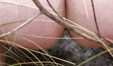 Sexy MILFs haben kostenlose pornos mutter fickt sohn Hardcore-Vierer-Fick auf dem Sofa